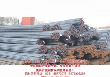 螺纹钢货场 - 建材展示 -